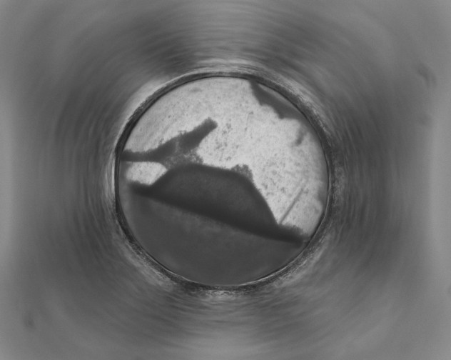 X0000111161275200907281145