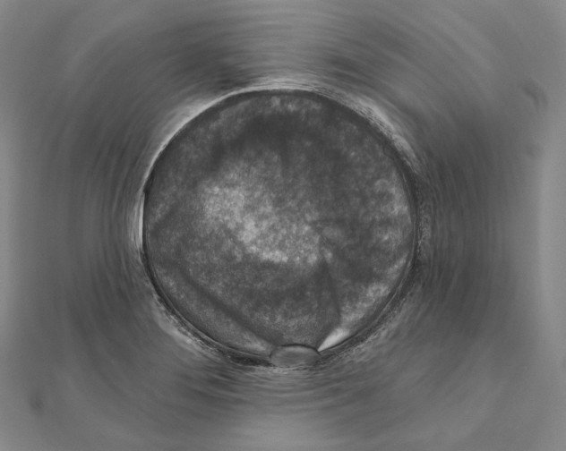 X0000111161276200907281145