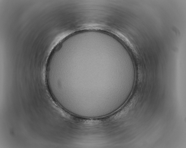 X0000111161277200907281145