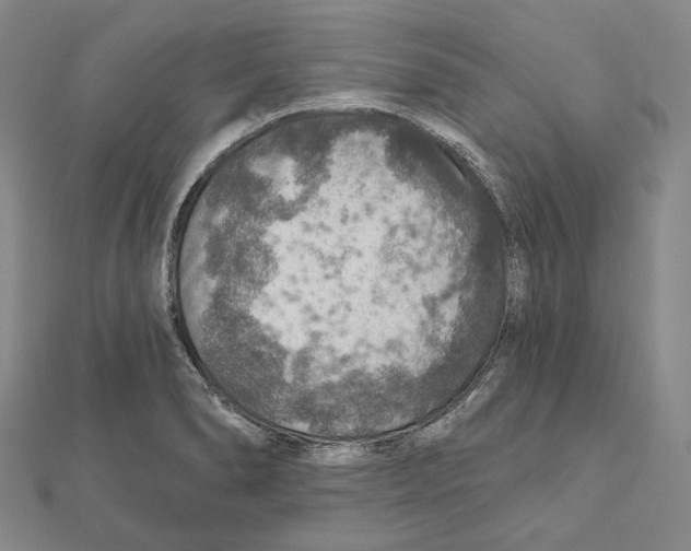 X0000111161278200907281145