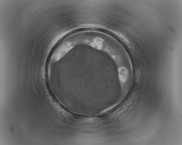 X0000111161279200907281145