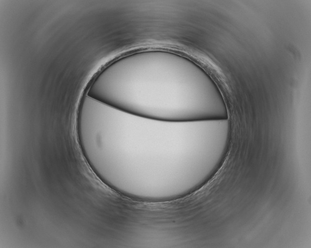 X0000111161280200907281145