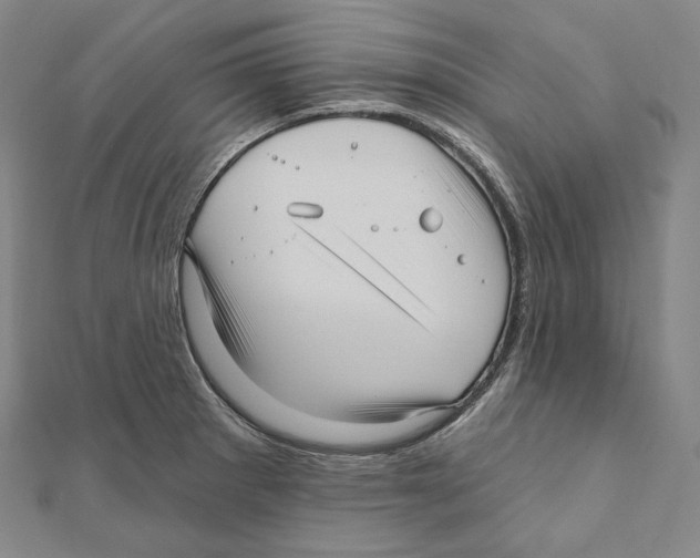 X0000111161281200907281145