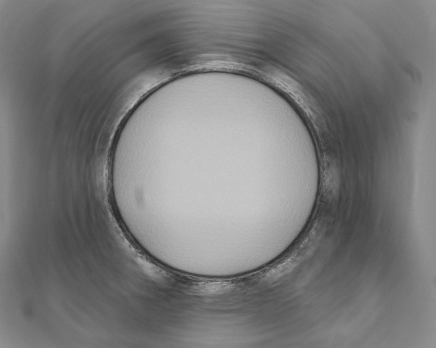 X0000111161282200907281145