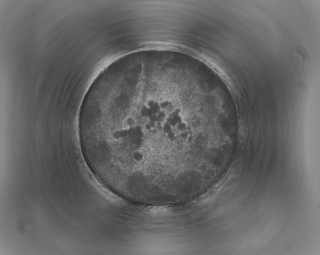 X0000111161283200907281145