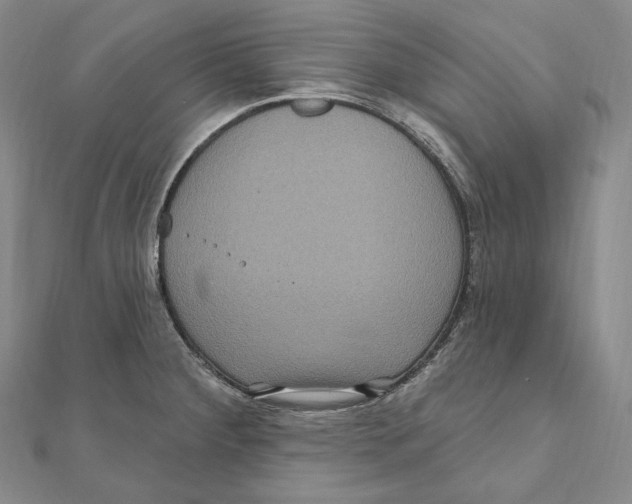 X0000111161284200907281145