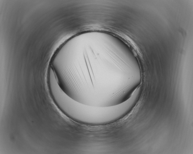 X0000111161285200907281145