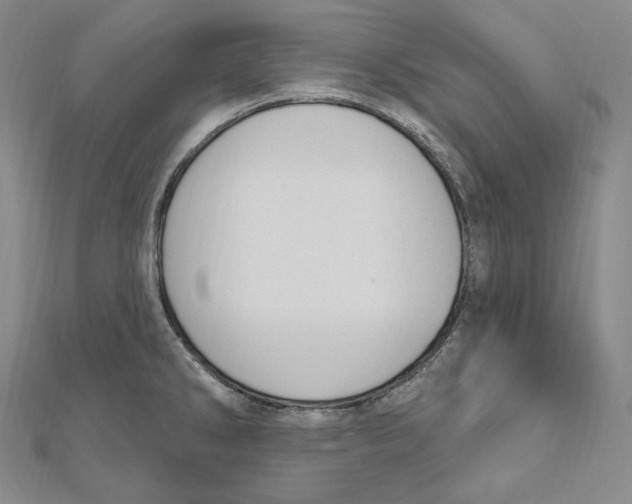 X0000111161286200907281145