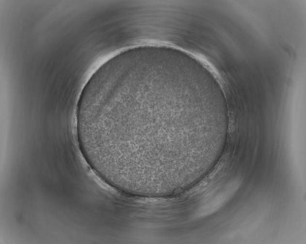 X0000111161287200907281145