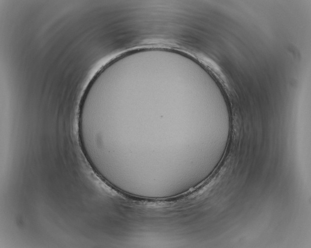 X0000111161288200907281145