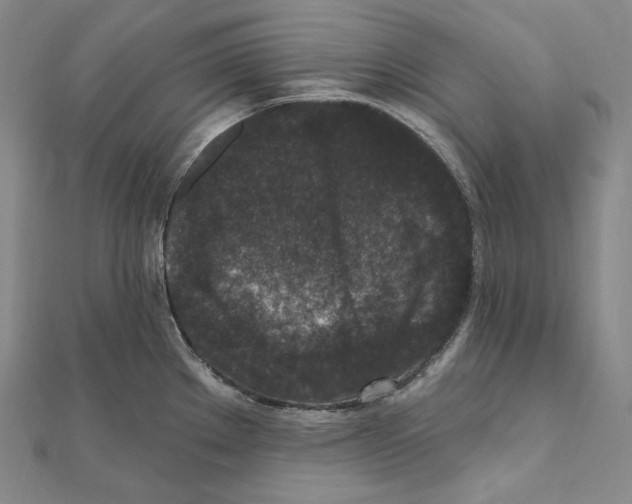 X0000111161289200907281145