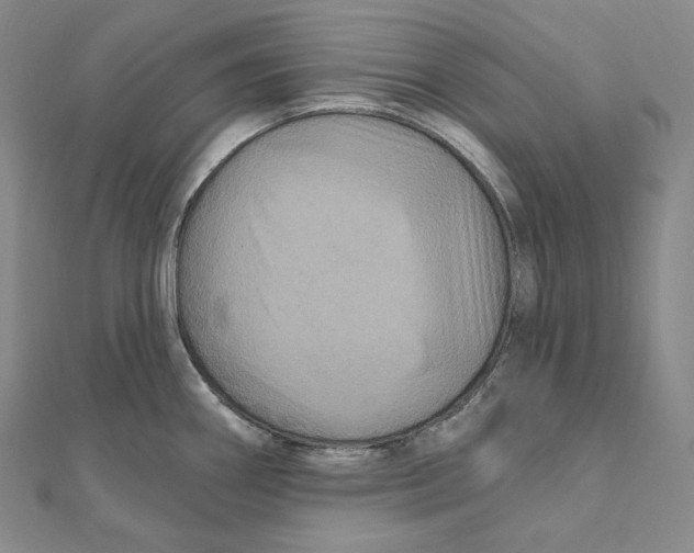 X0000111161290200907281145