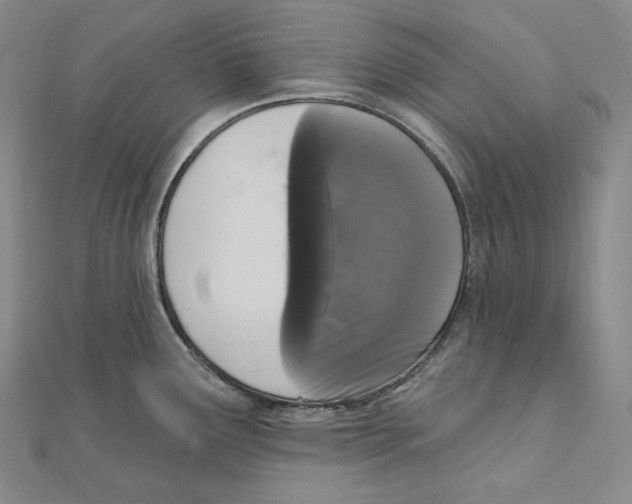 X0000111161291200907281145