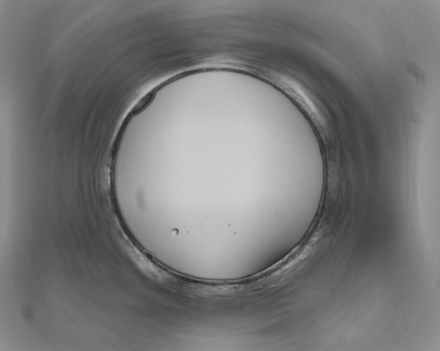 X0000111161292200907281145