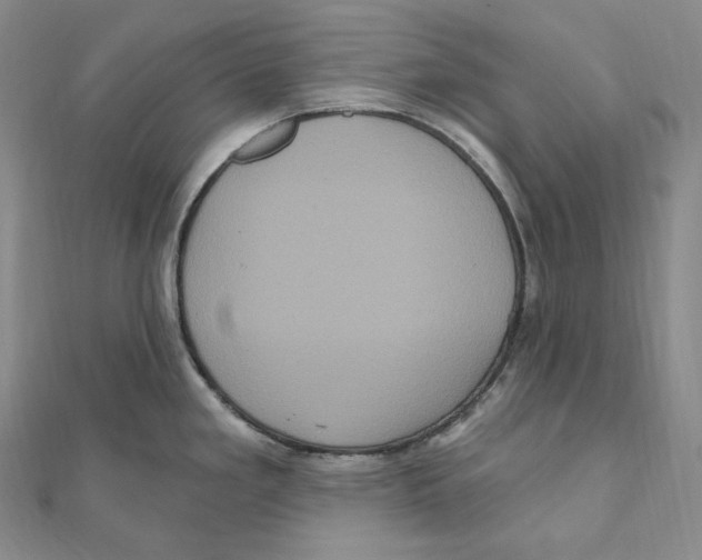 X0000111161293200907281145