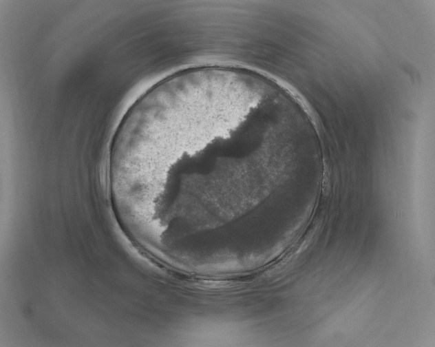 X0000111161295200907281145