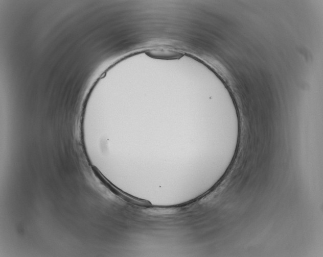 X0000111161296200907281145