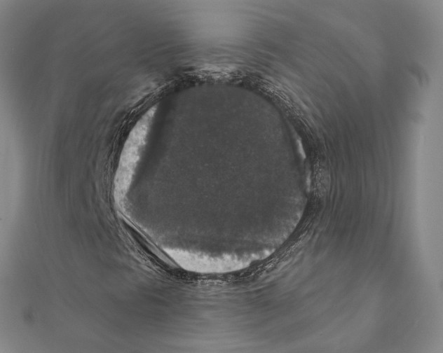 X0000111161297200907281144