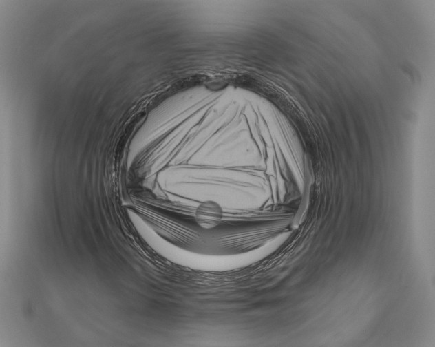 X0000111161298200907281144