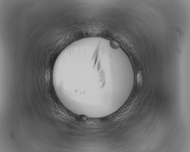 X0000111161299200907281144