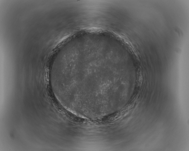 X0000111161301200907281144