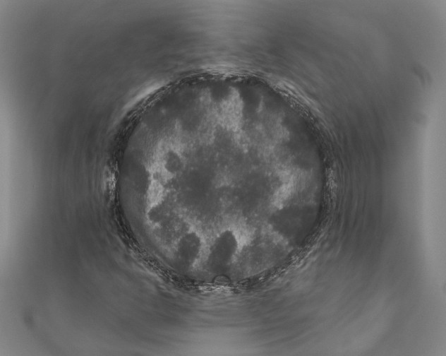 X0000111161302200907281144