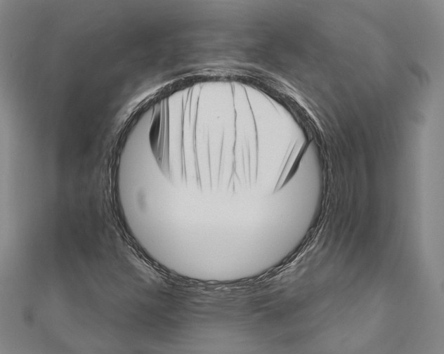 X0000111161304200907281144