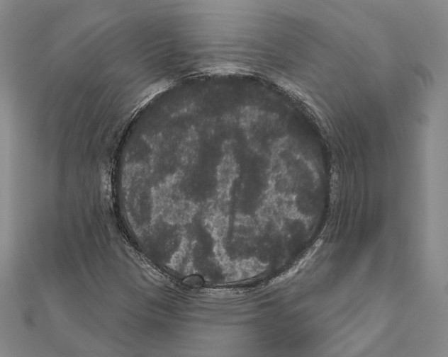 X0000111161305200907281144