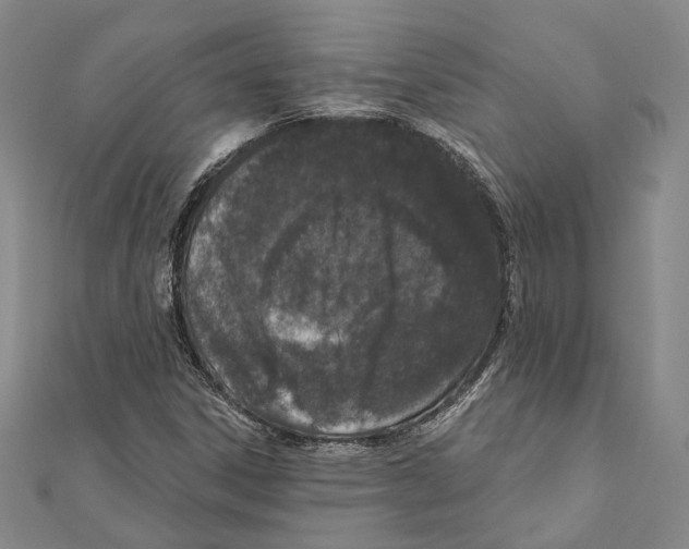 X0000111161306200907281144