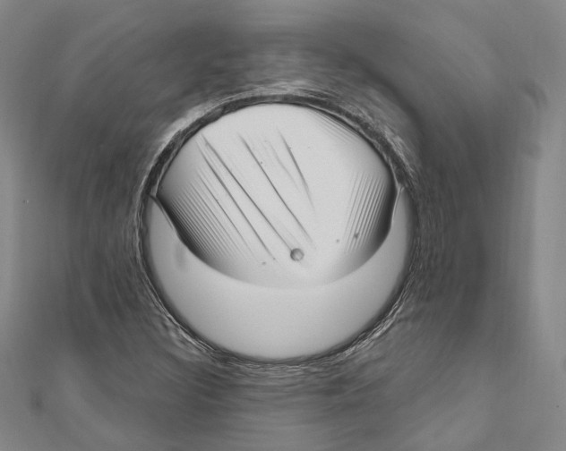 X0000111161308200907281144