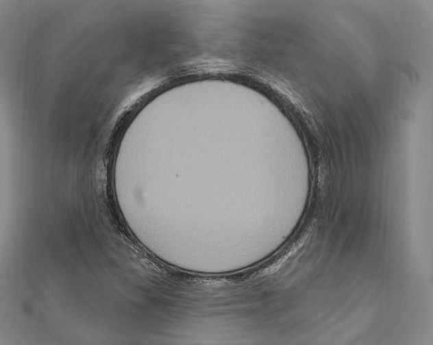 X0000111161309200907281144