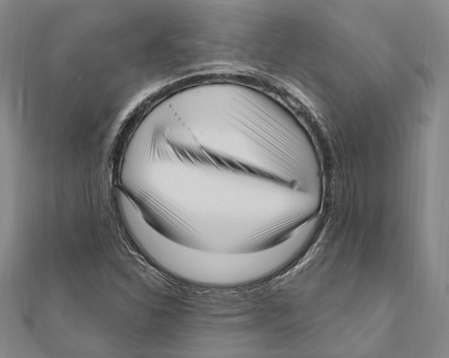 X0000111161310200907281144