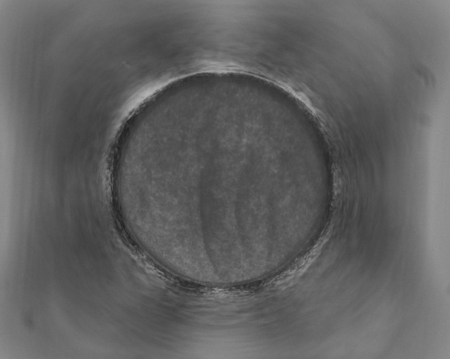 X0000111161311200907281144