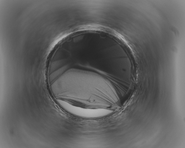 X0000111161312200907281144