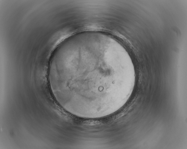 X0000111161314200907281145