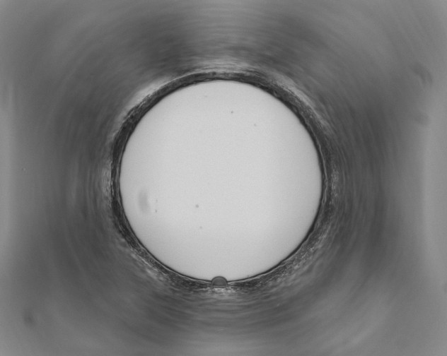 X0000111161315200907281145