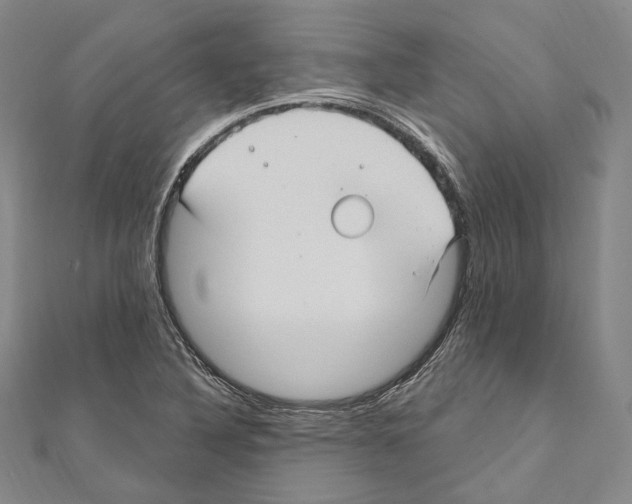 X0000111161316200907281145