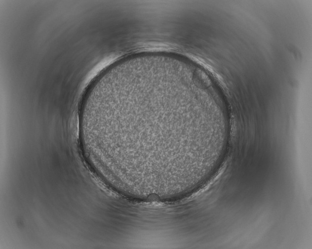 X0000111161317200907281145