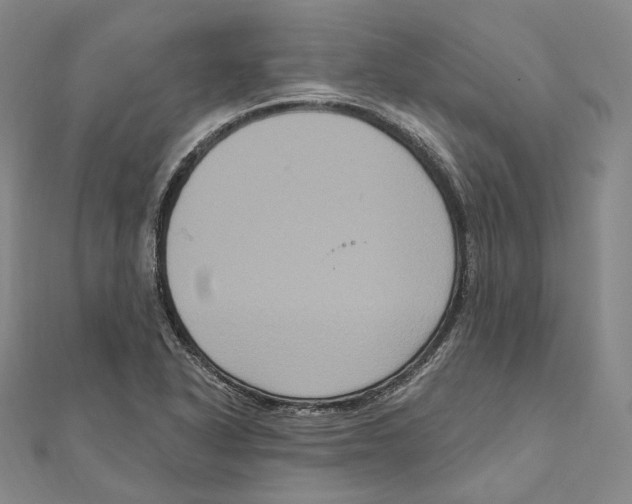 X0000111161318200907281145