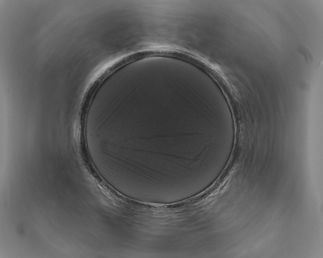 X0000111161319200907281145