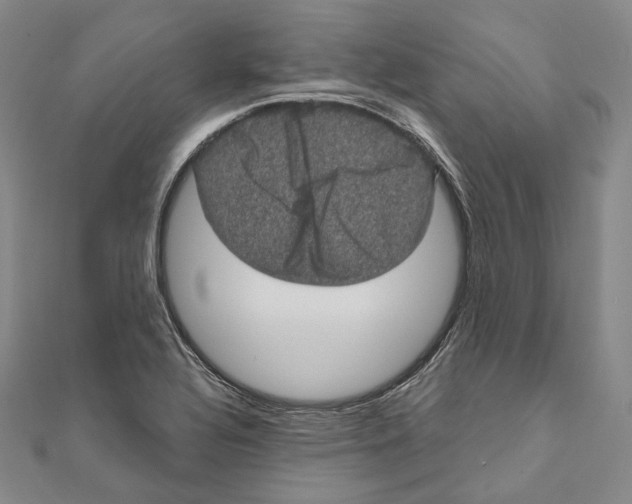 X0000111161320200907281145