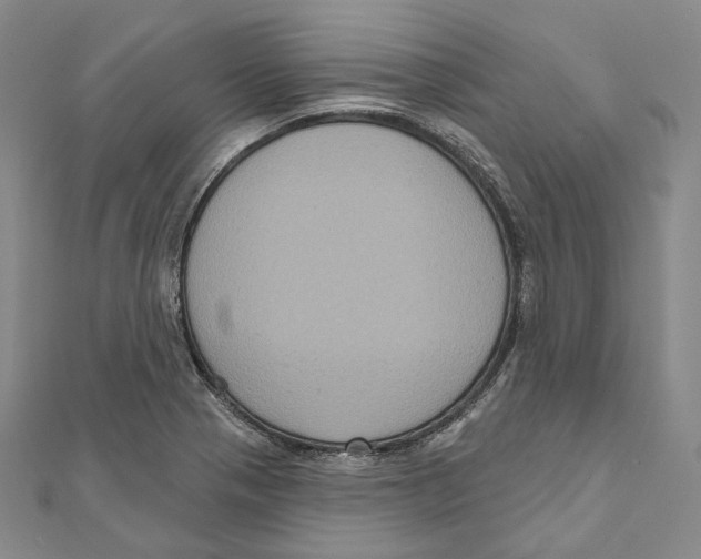 X0000111161321200907281145