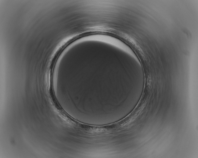 X0000111161323200907281145