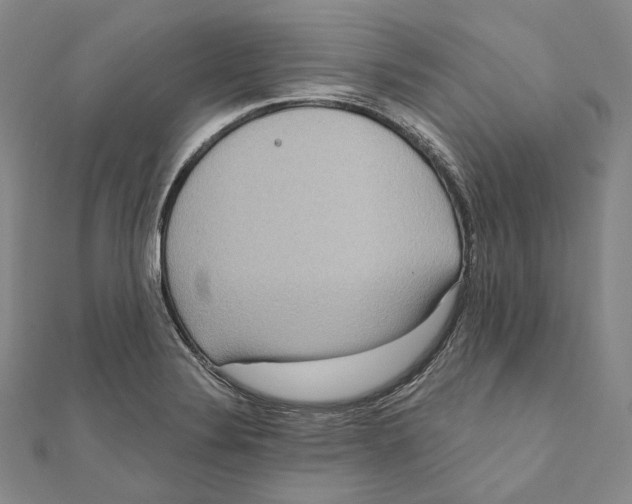 X0000111161324200907281145