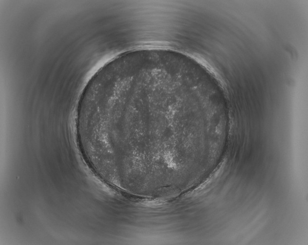 X0000111161325200907281145