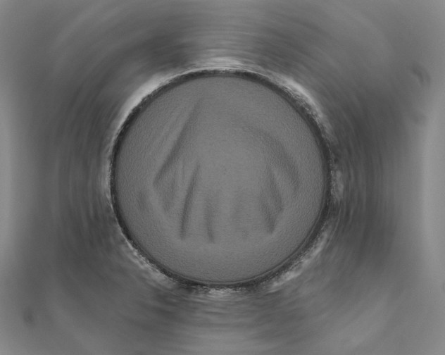 X0000111161326200907281145