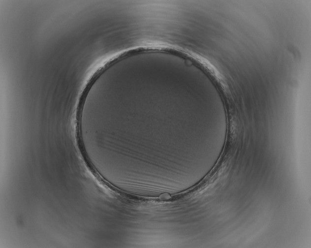 X0000111161327200907281145