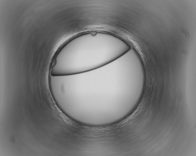 X0000111161328200907281145