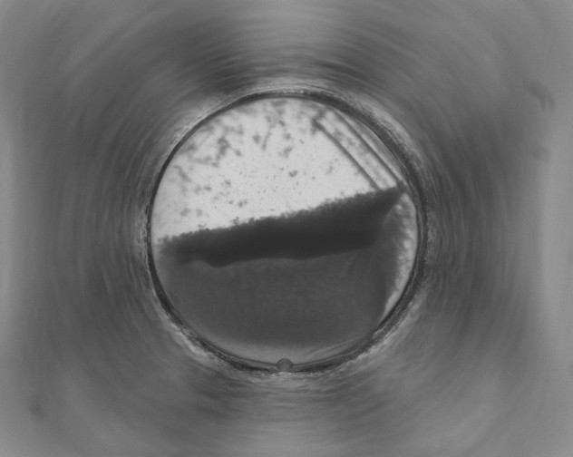 X0000111161329200907281145