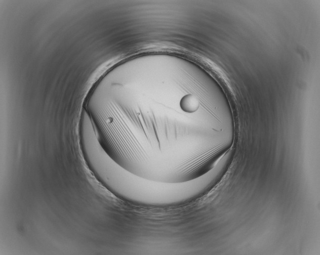 X0000111161330200907281145